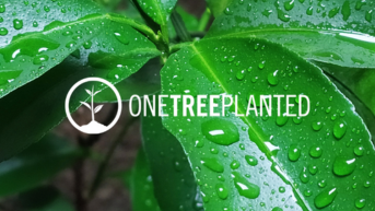 Go Green And Plant A Tree With Your Order.