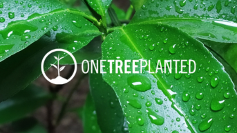 Go Green And Plant A Tree With Your Order